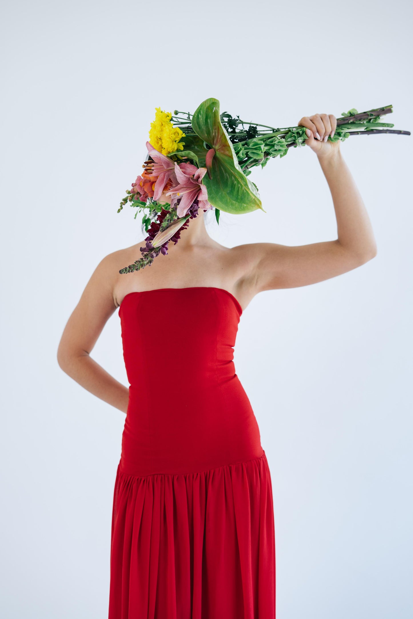 Muse Dress - Red